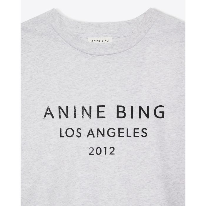 Tee-shirt manches courtes Myers Anine Bing gris. Vue face. 