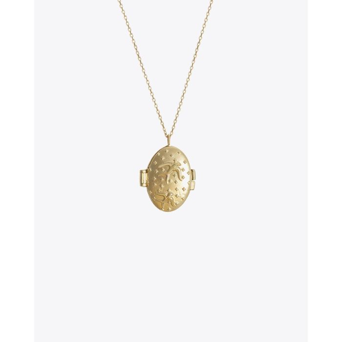 Feidt Collier Lucky Médaillon Ovale Icône Oiseau – Or Jaune 9k
